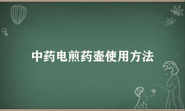 中药电煎药壶使用方法