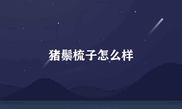 猪鬃梳子怎么样