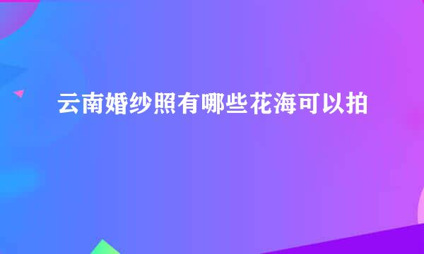 云南婚纱照有哪些花海可以拍
