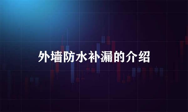 外墙防水补漏的介绍