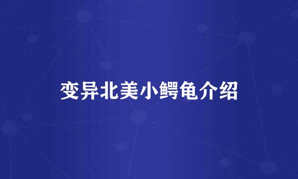 变异北美小鳄龟介绍
