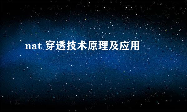 nat 穿透技术原理及应用