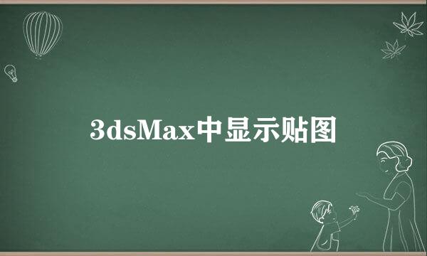 3dsMax中显示贴图