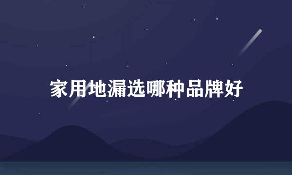 家用地漏选哪种品牌好
