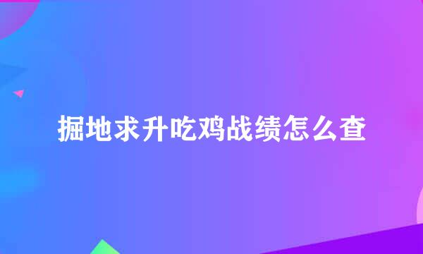 掘地求升吃鸡战绩怎么查