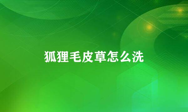 狐狸毛皮草怎么洗
