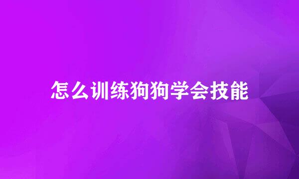 怎么训练狗狗学会技能