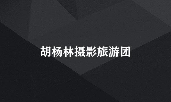 胡杨林摄影旅游团