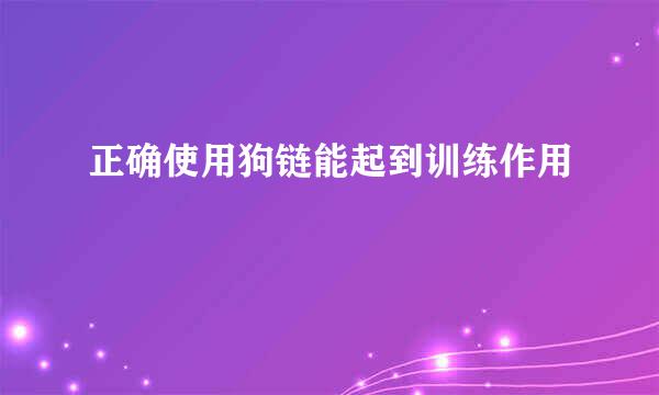 正确使用狗链能起到训练作用