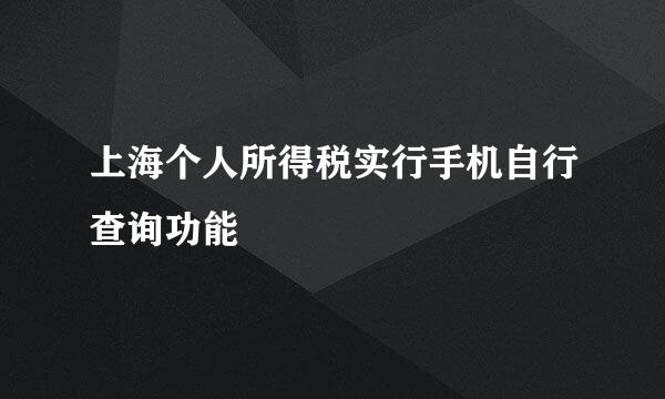 上海个人所得税实行手机自行查询功能