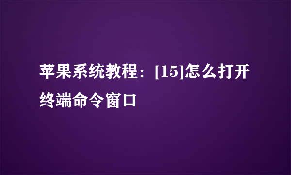 苹果系统教程：[15]怎么打开终端命令窗口