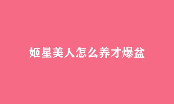 姬星美人怎么养才爆盆