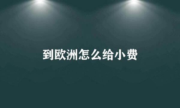 到欧洲怎么给小费