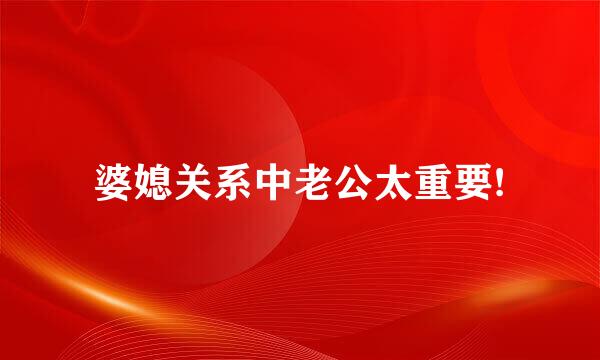 婆媳关系中老公太重要!