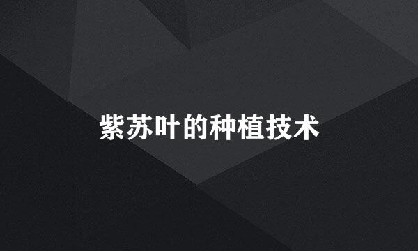 紫苏叶的种植技术