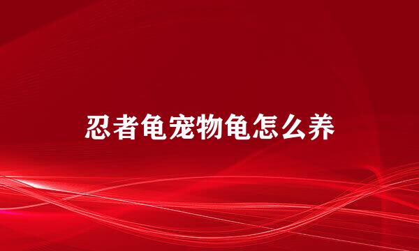 忍者龟宠物龟怎么养