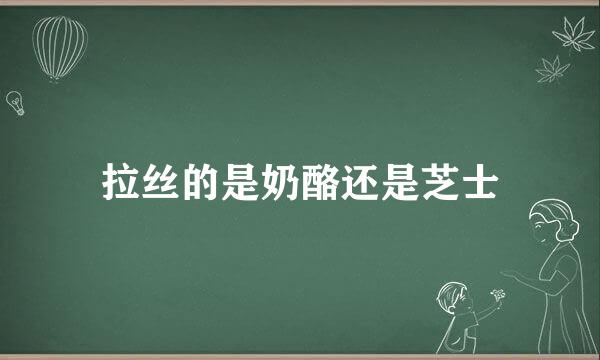 拉丝的是奶酪还是芝士
