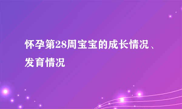 怀孕第28周宝宝的成长情况、发育情况