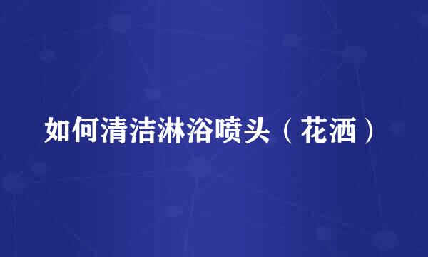 如何清洁淋浴喷头（花洒）