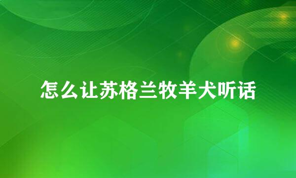怎么让苏格兰牧羊犬听话