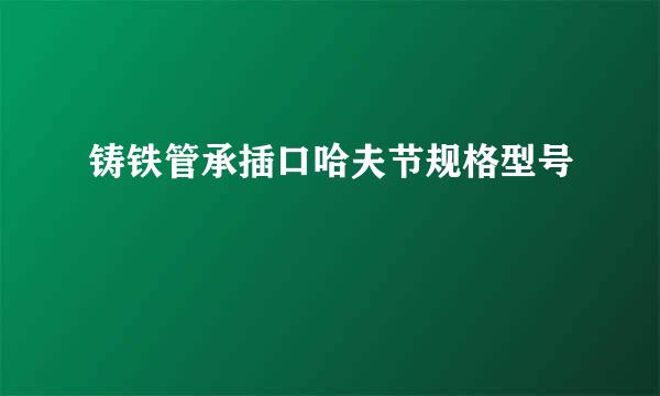 铸铁管承插口哈夫节规格型号