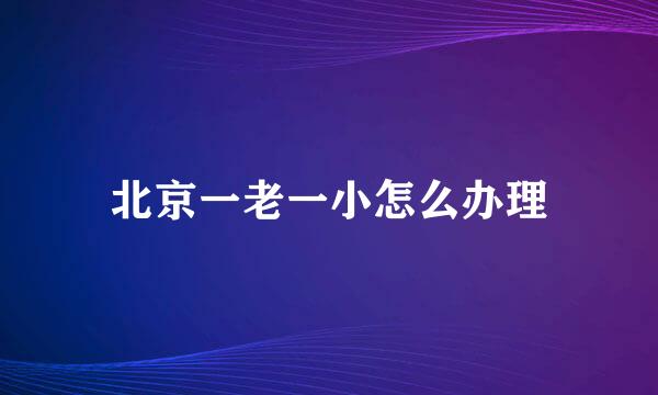 北京一老一小怎么办理
