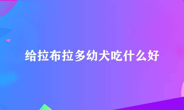 给拉布拉多幼犬吃什么好