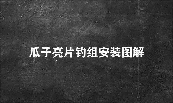 瓜子亮片钓组安装图解