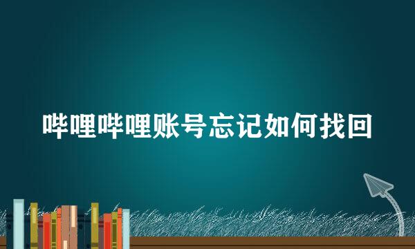 哔哩哔哩账号忘记如何找回