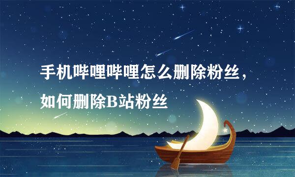 手机哔哩哔哩怎么删除粉丝，如何删除B站粉丝