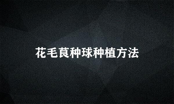 花毛茛种球种植方法