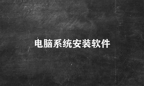 电脑系统安装软件