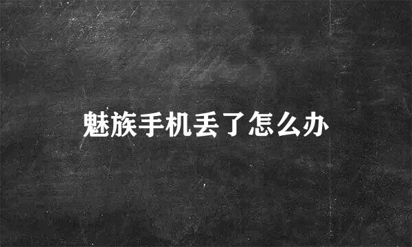 魅族手机丢了怎么办