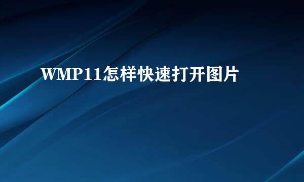 WMP11怎样快速打开图片