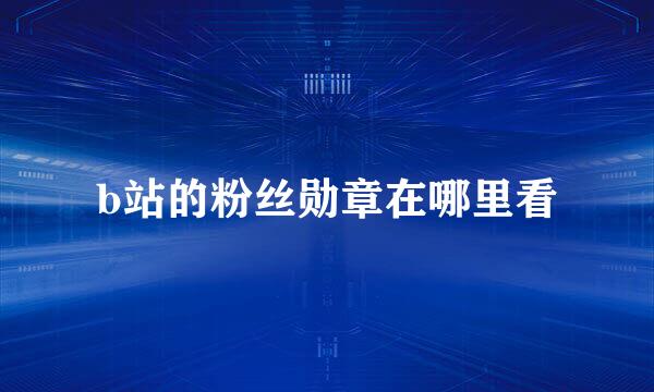 b站的粉丝勋章在哪里看