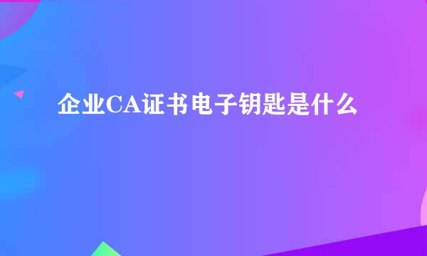 企业CA证书电子钥匙是什么