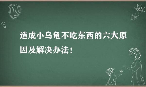造成小乌龟不吃东西的六大原因及解决办法！