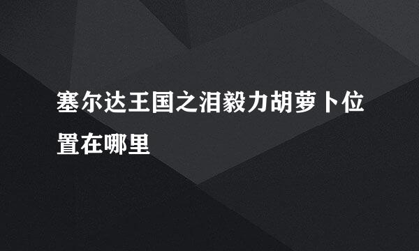 塞尔达王国之泪毅力胡萝卜位置在哪里