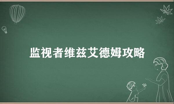 监视者维兹艾德姆攻略