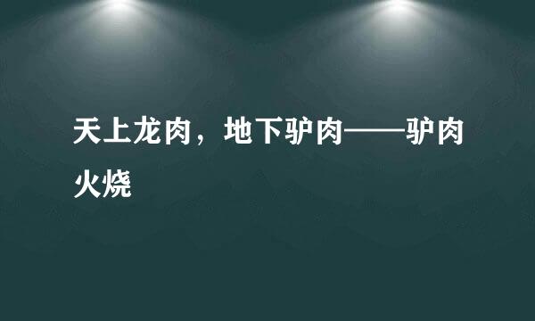 天上龙肉，地下驴肉——驴肉火烧