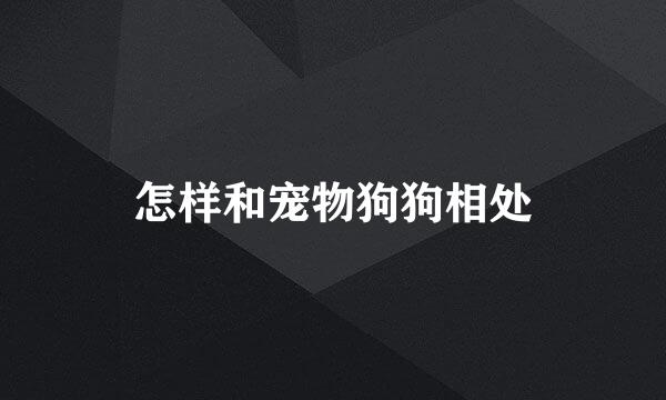 怎样和宠物狗狗相处