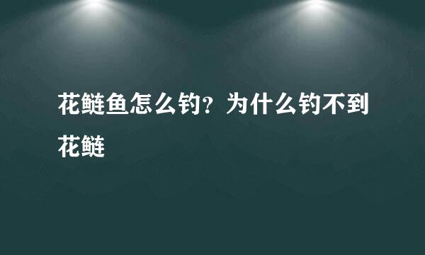 花鲢鱼怎么钓？为什么钓不到花鲢