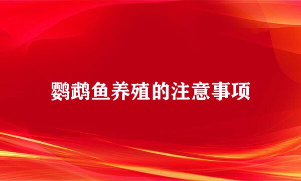 鹦鹉鱼养殖的注意事项