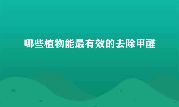哪些植物能最有效的去除甲醛