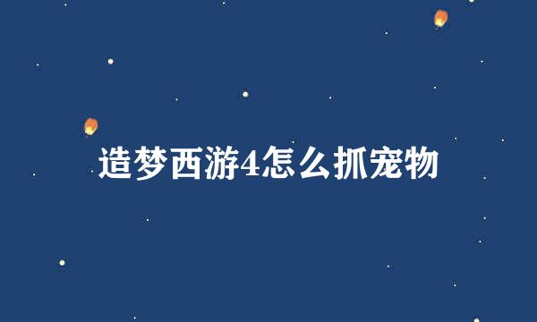 造梦西游4怎么抓宠物
