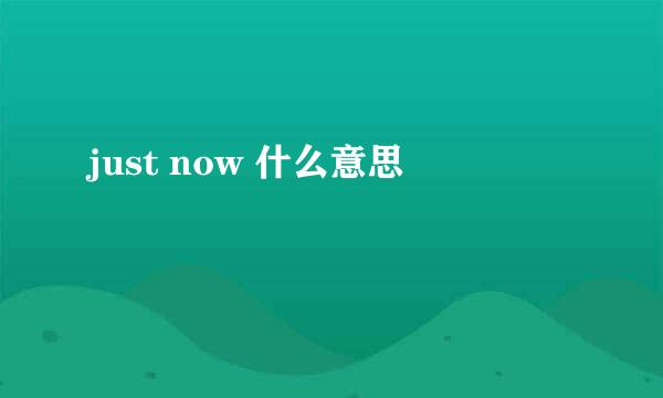 just now 什么意思