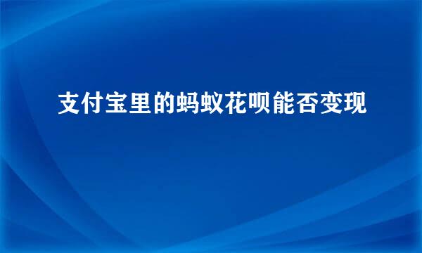 支付宝里的蚂蚁花呗能否变现