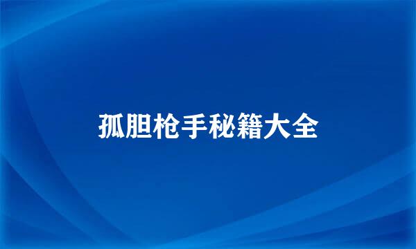 孤胆枪手秘籍大全