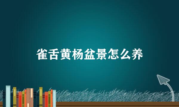 雀舌黄杨盆景怎么养