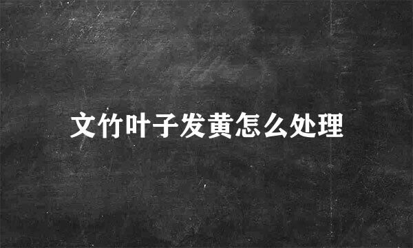 文竹叶子发黄怎么处理